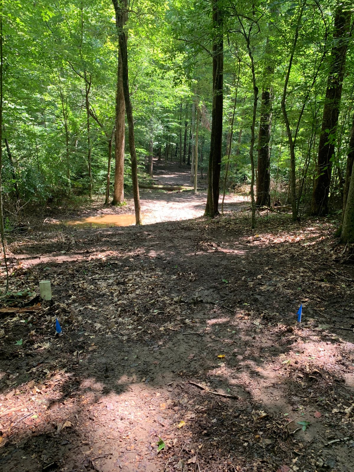 Hole 7 Blue Tee. 