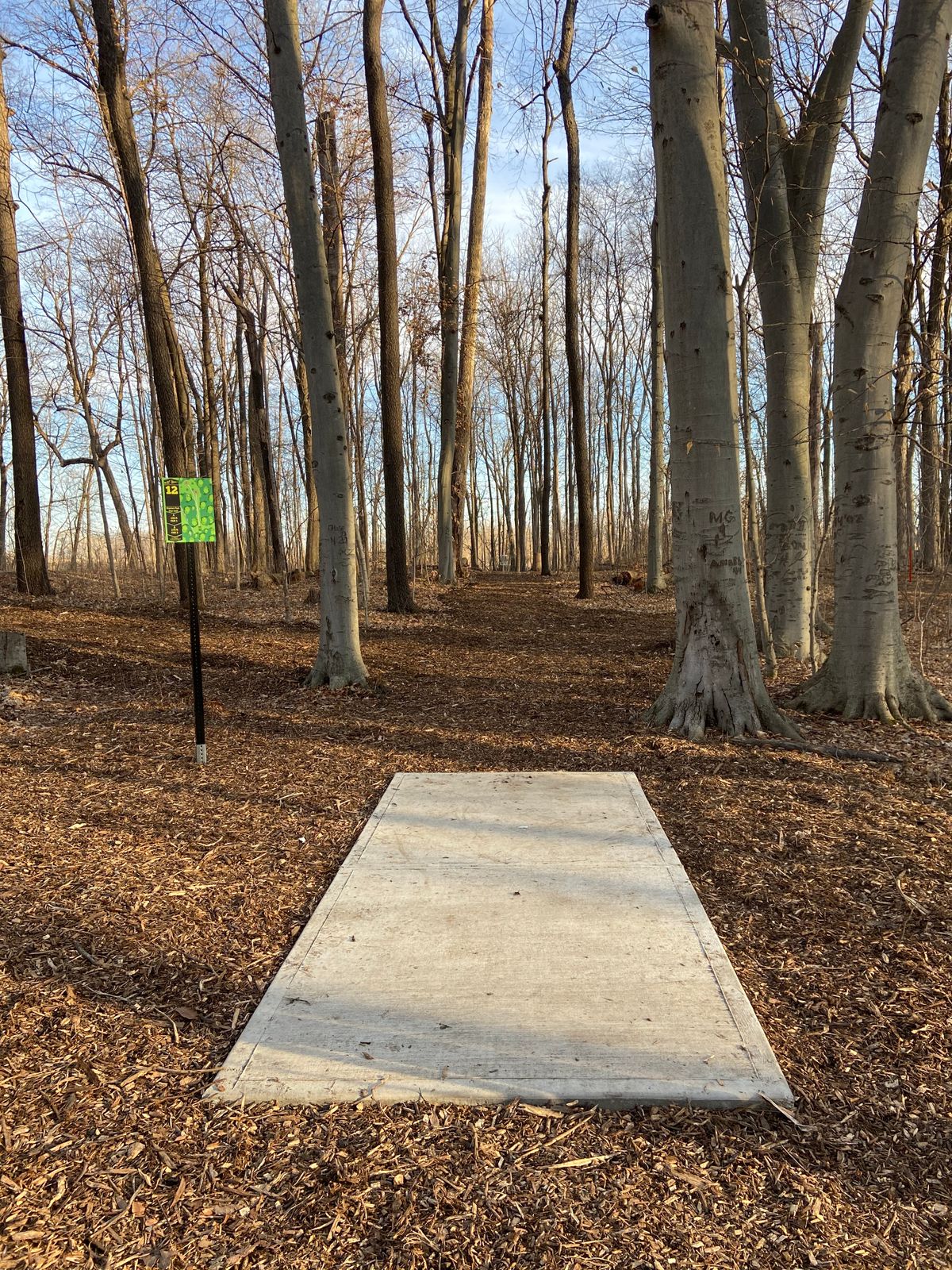 12th Tee