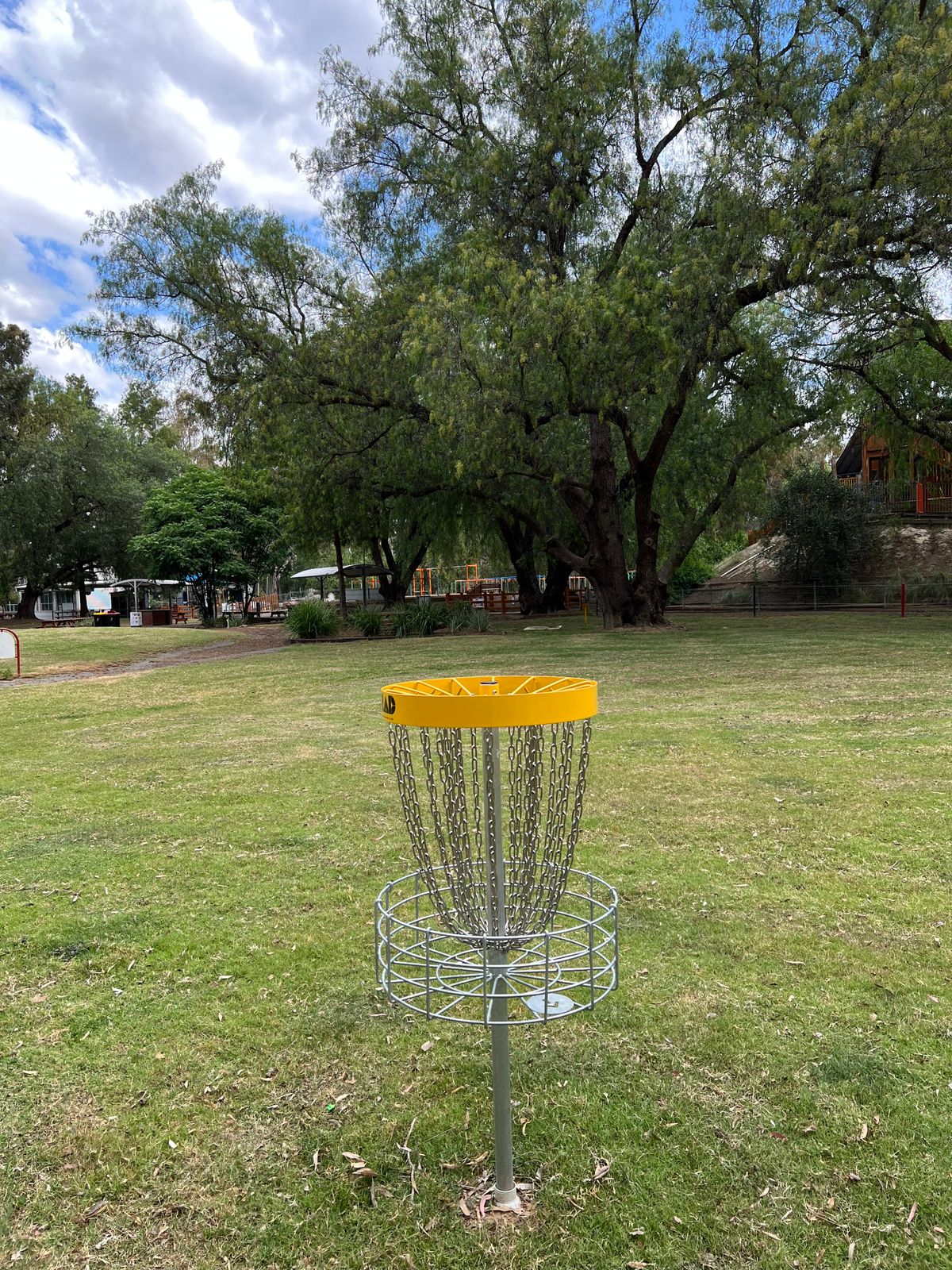 Basket on hole 2