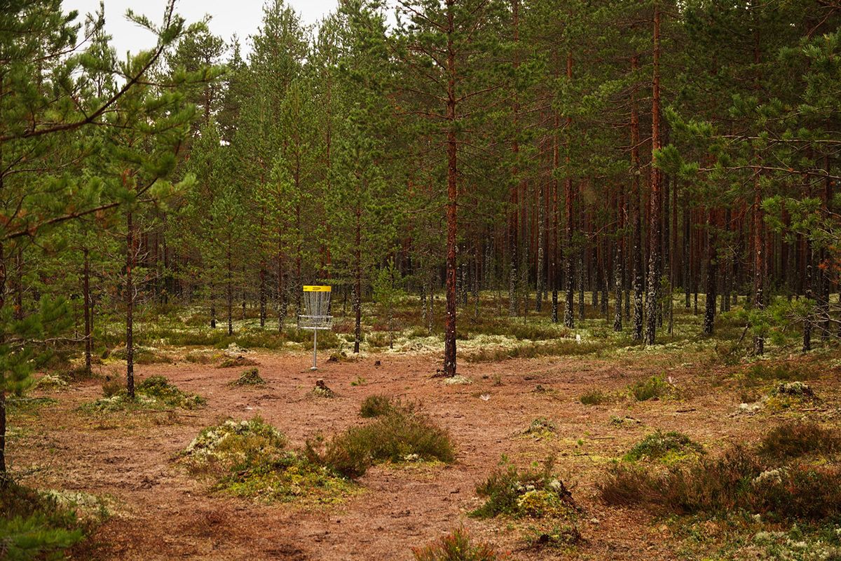 Basket hole 13