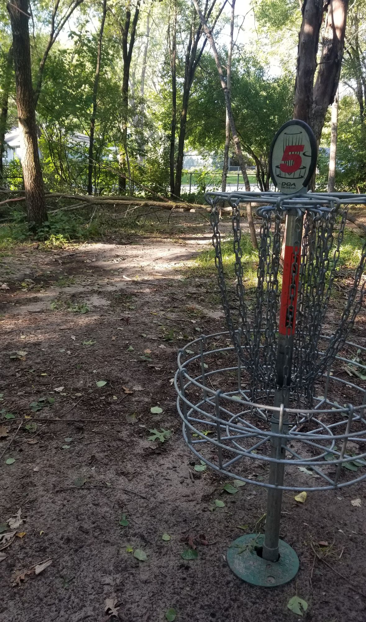 Hole 5 basket