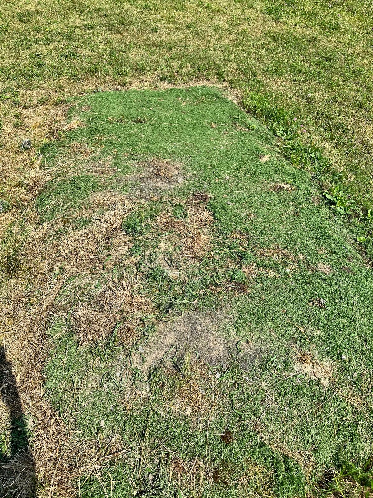 Tee on hole 9