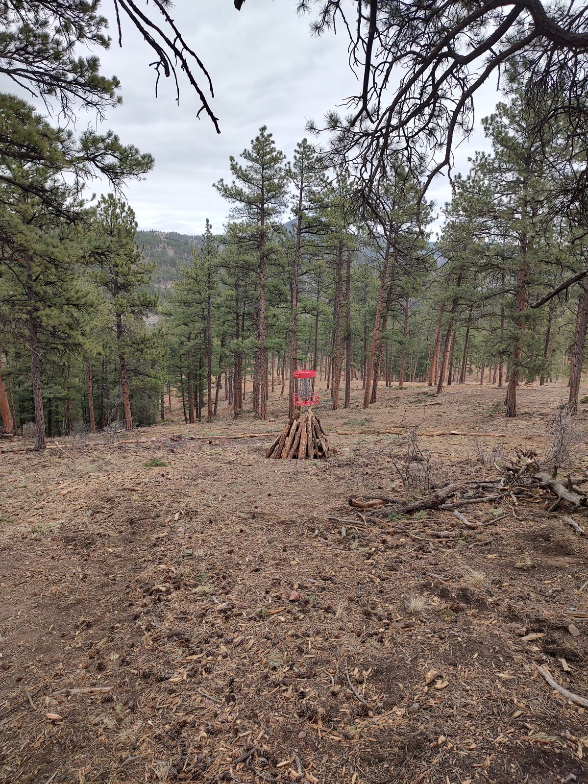 Viking hole basket 10