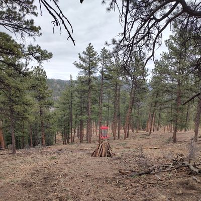 Viking hole basket 10