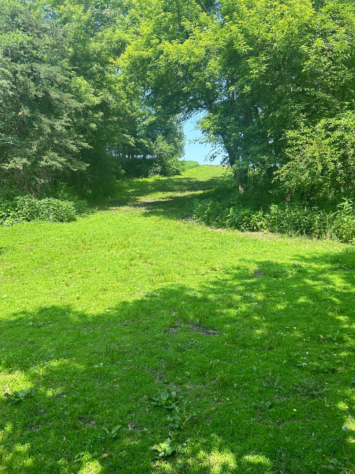 Hole 6
