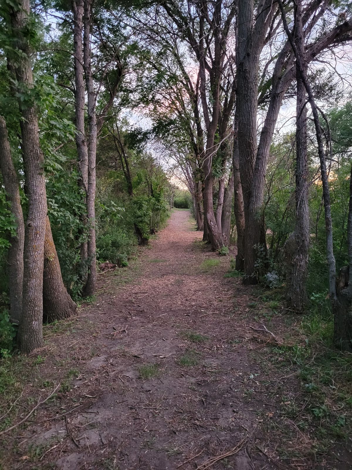 Hole 15 second fairway