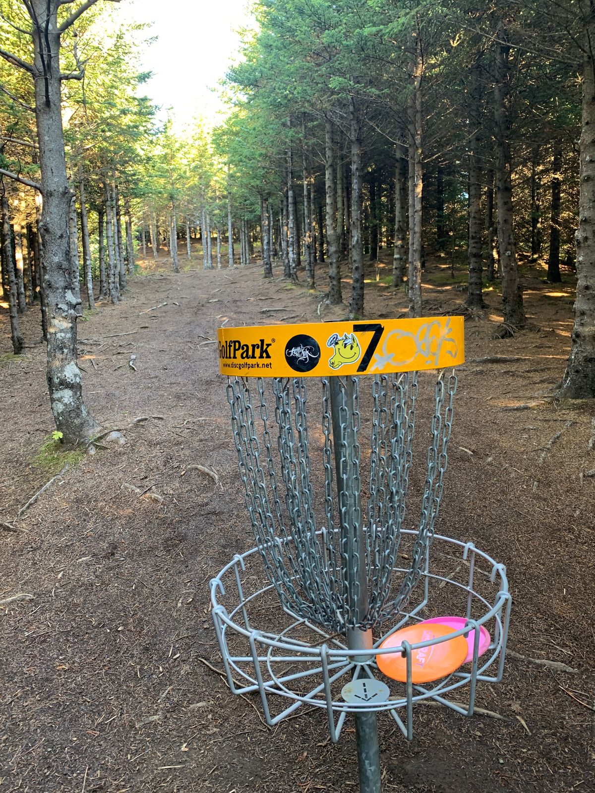 Hole 7