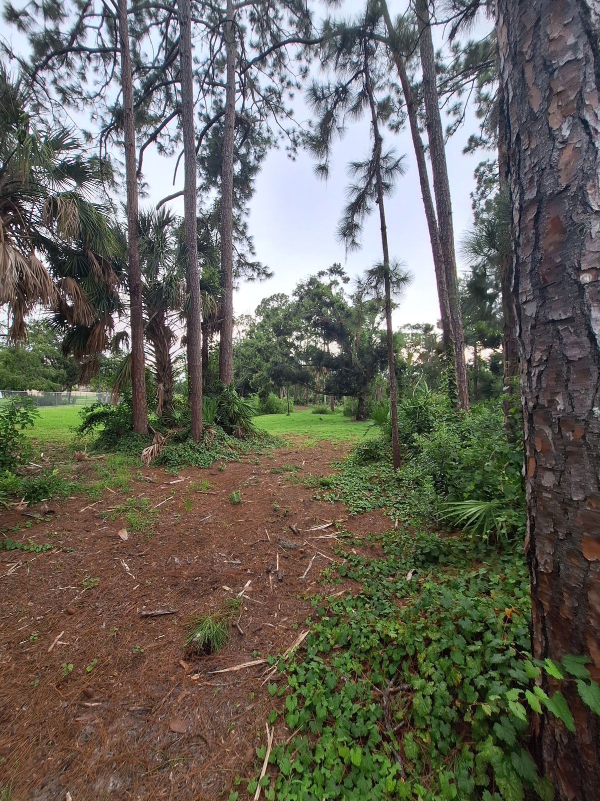 Hole 7 fairway approach
