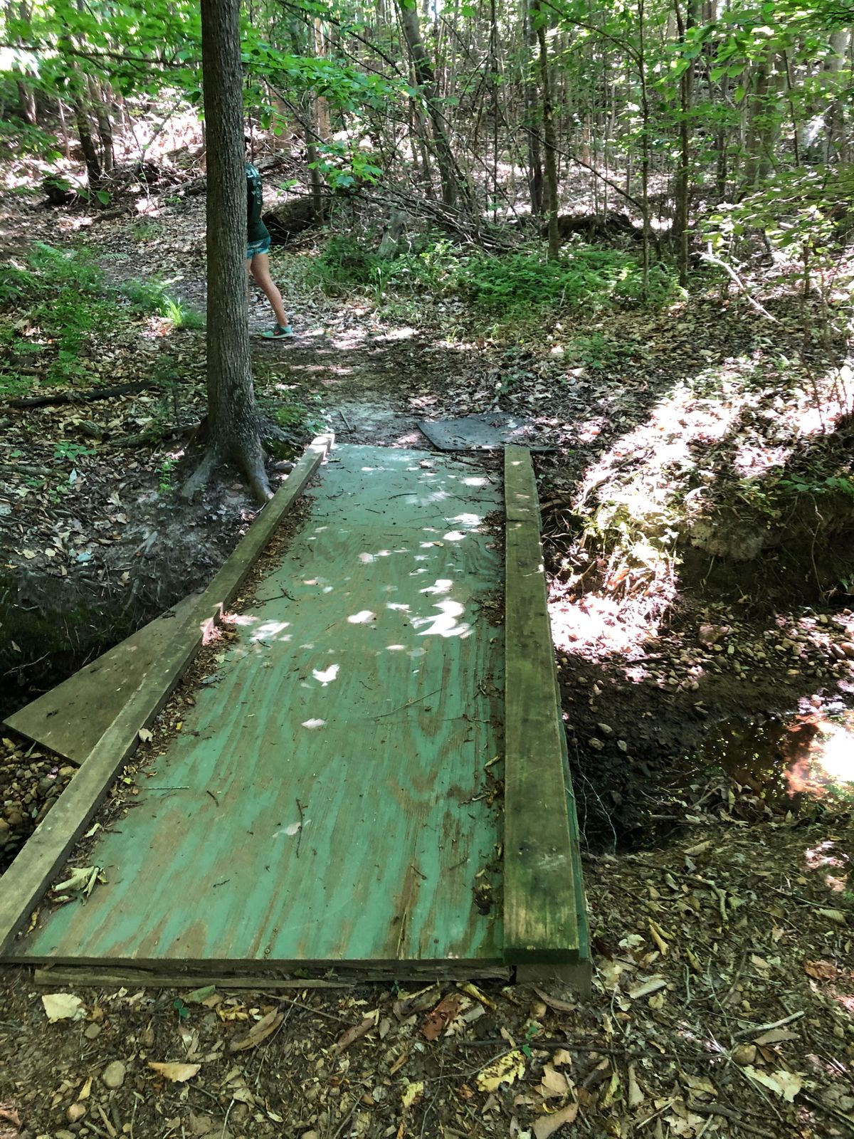 Bridge to 8th tee