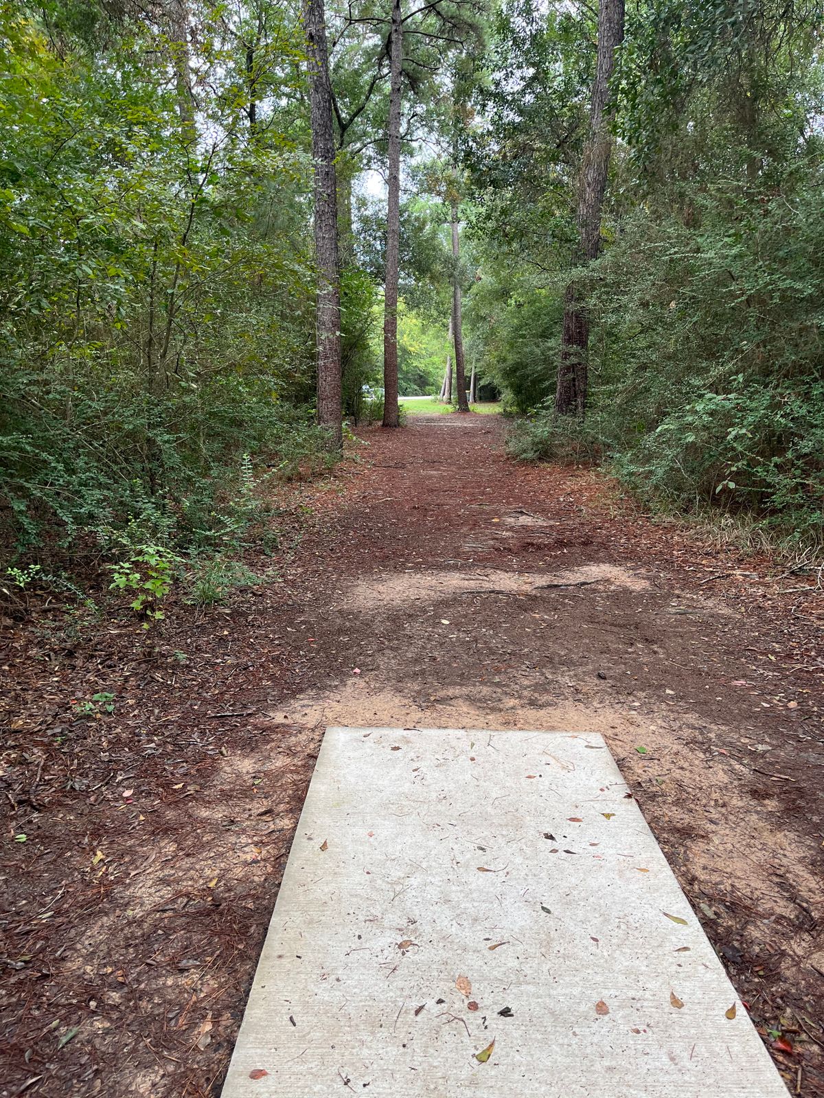 Hole 15 11/11/23