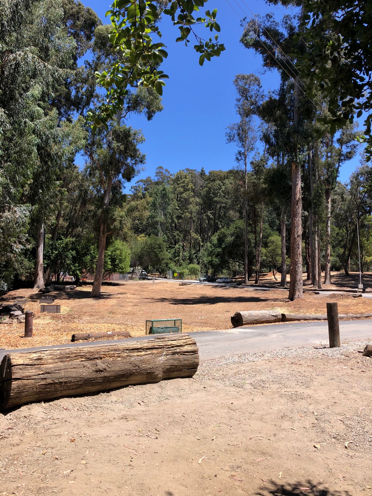 Tee Box at #1