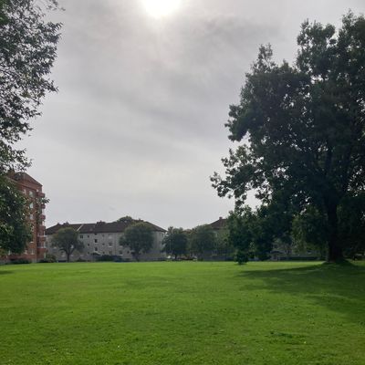 Course photo
