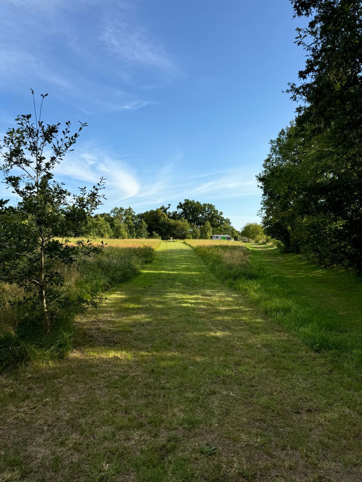 Fairway på banans sista hål, hål 12