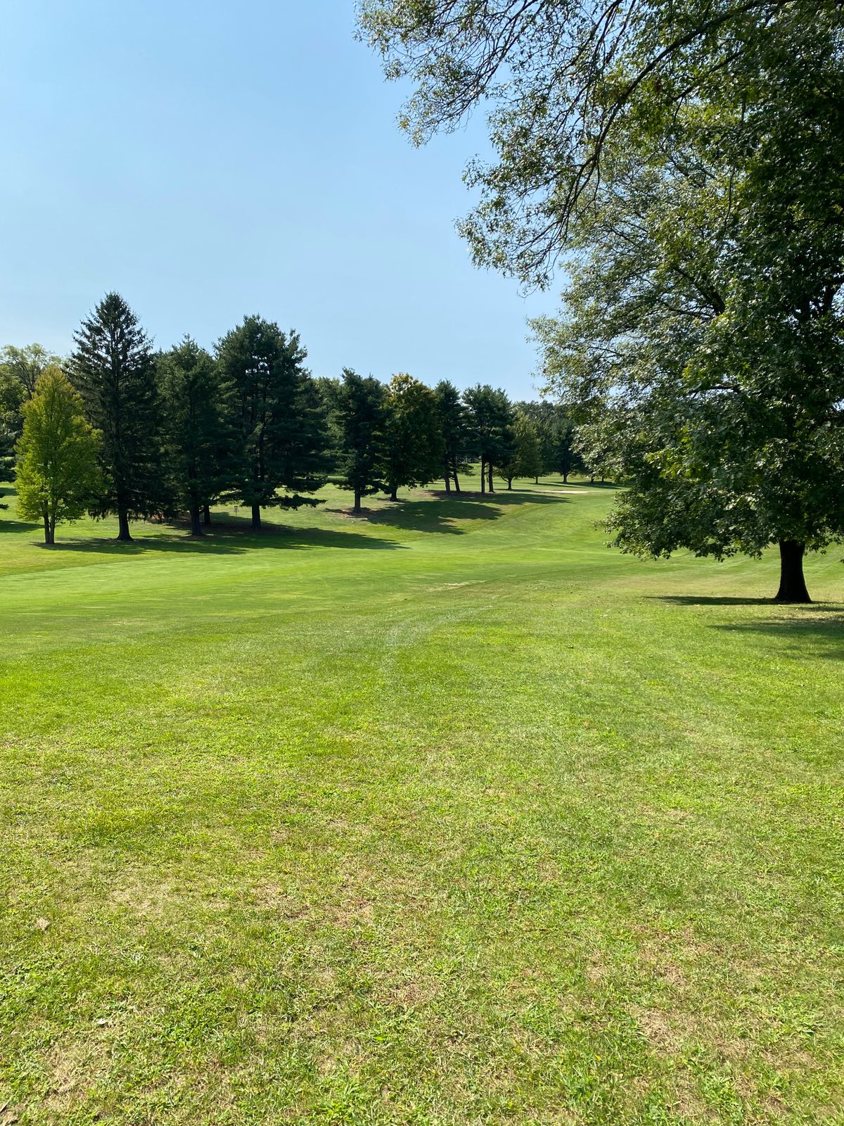 Beautiful fairways