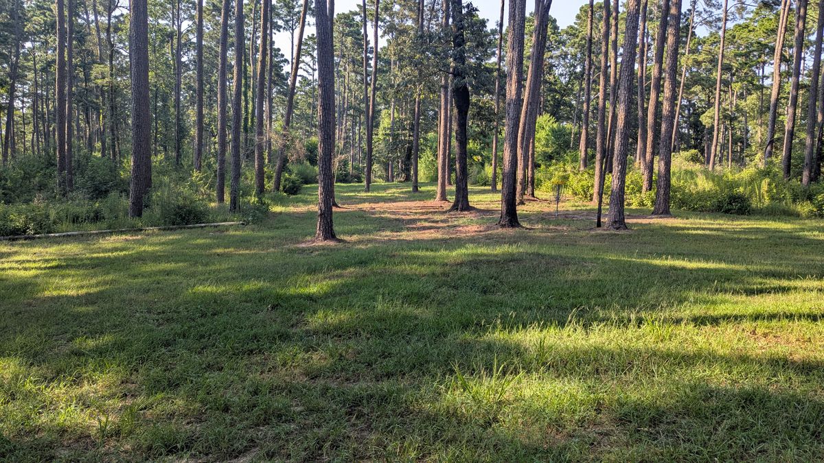 Course conditions 8/6/25. Stay on the fairway.
