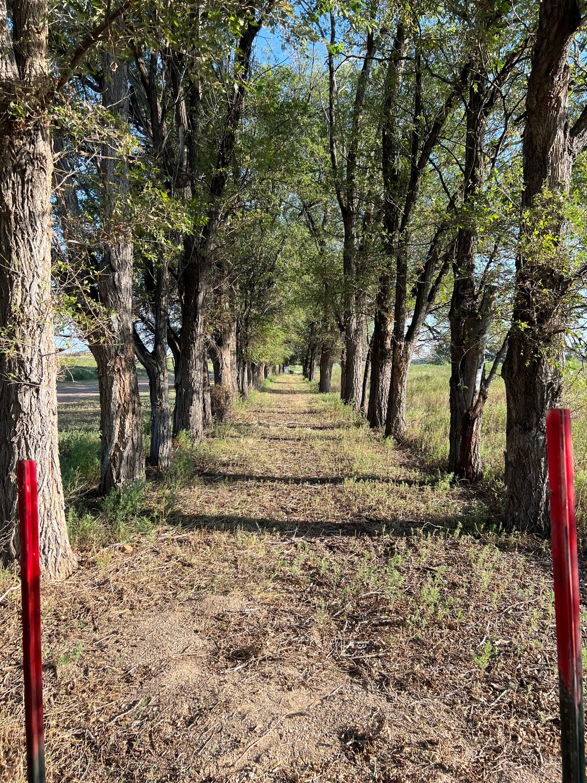 Hole 9 Tee and Pin