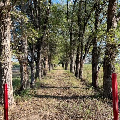Hole 9 Tee and Pin