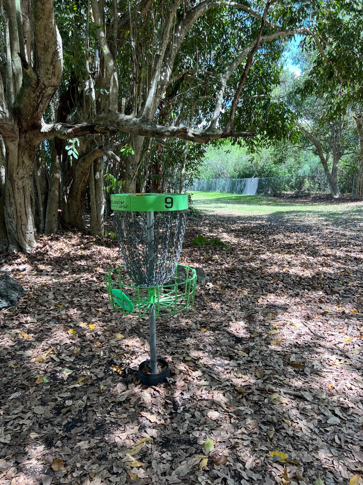 Hole 9 basket