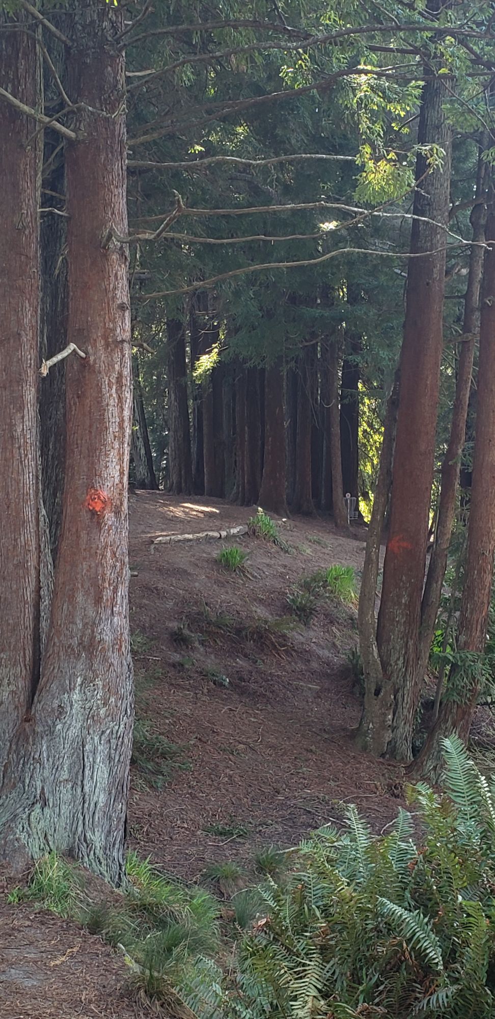 Hole 3