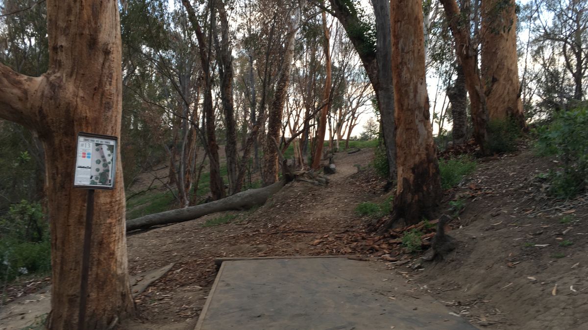 Super Alt 10 Before the trees came out 2016