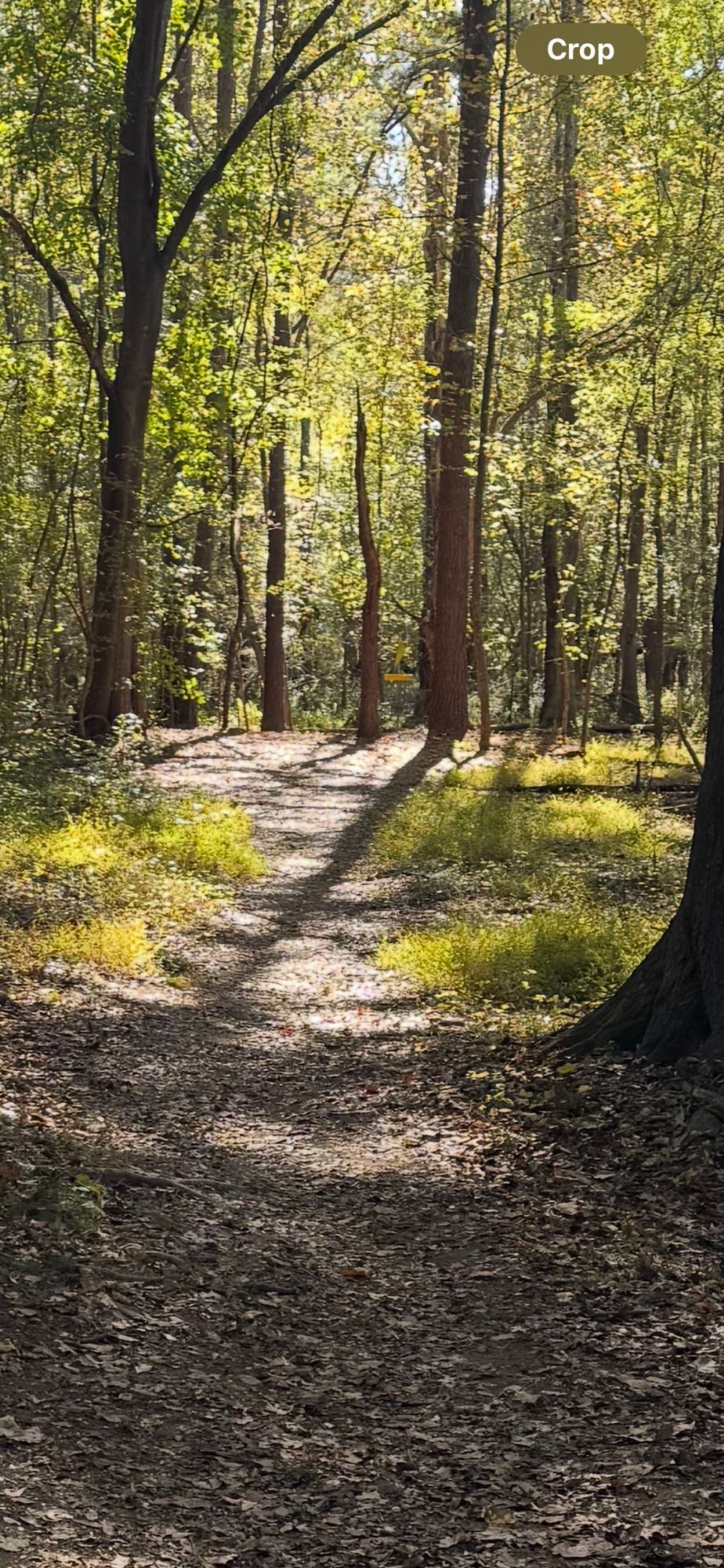 Hole 9A from tee box