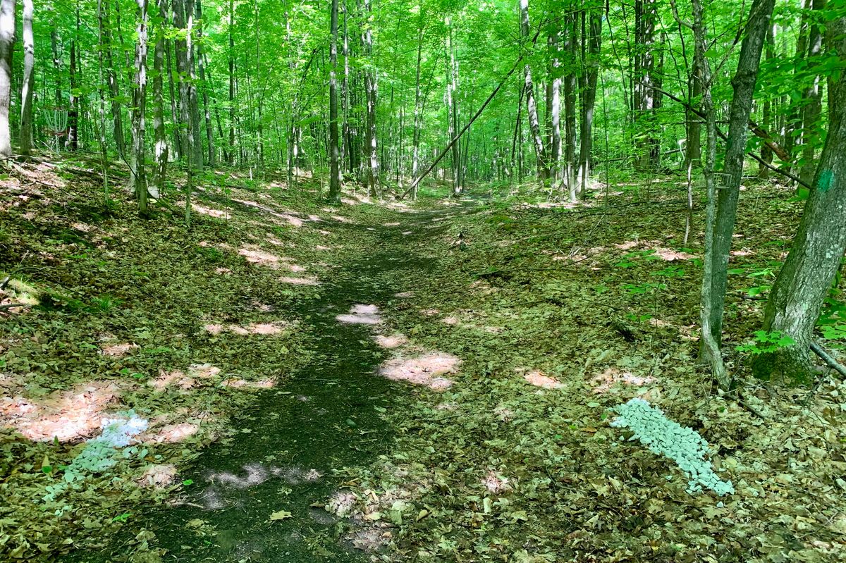 Hole 5