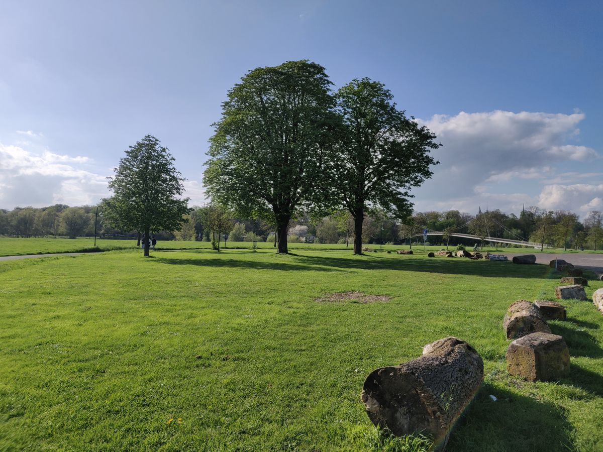 Tee 6