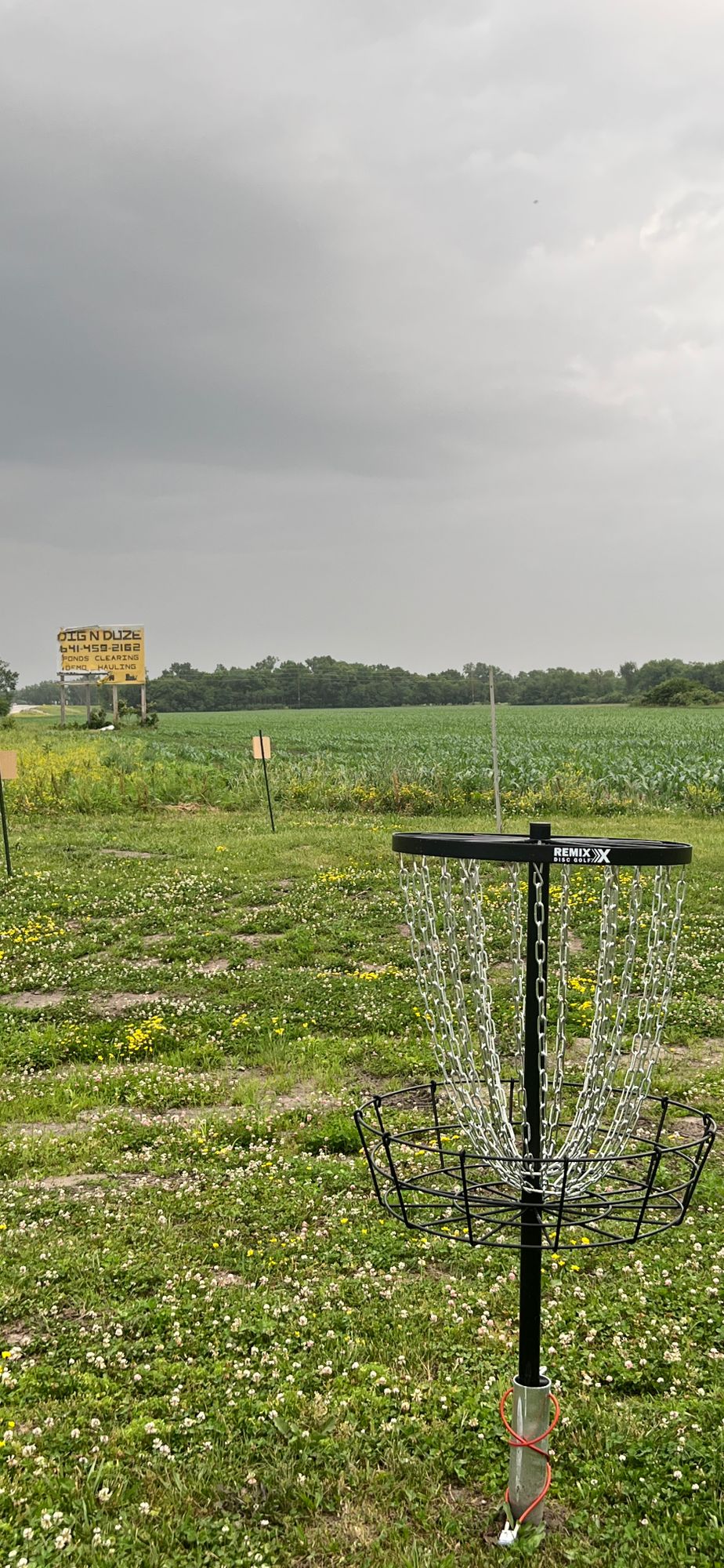 basket with corn shot