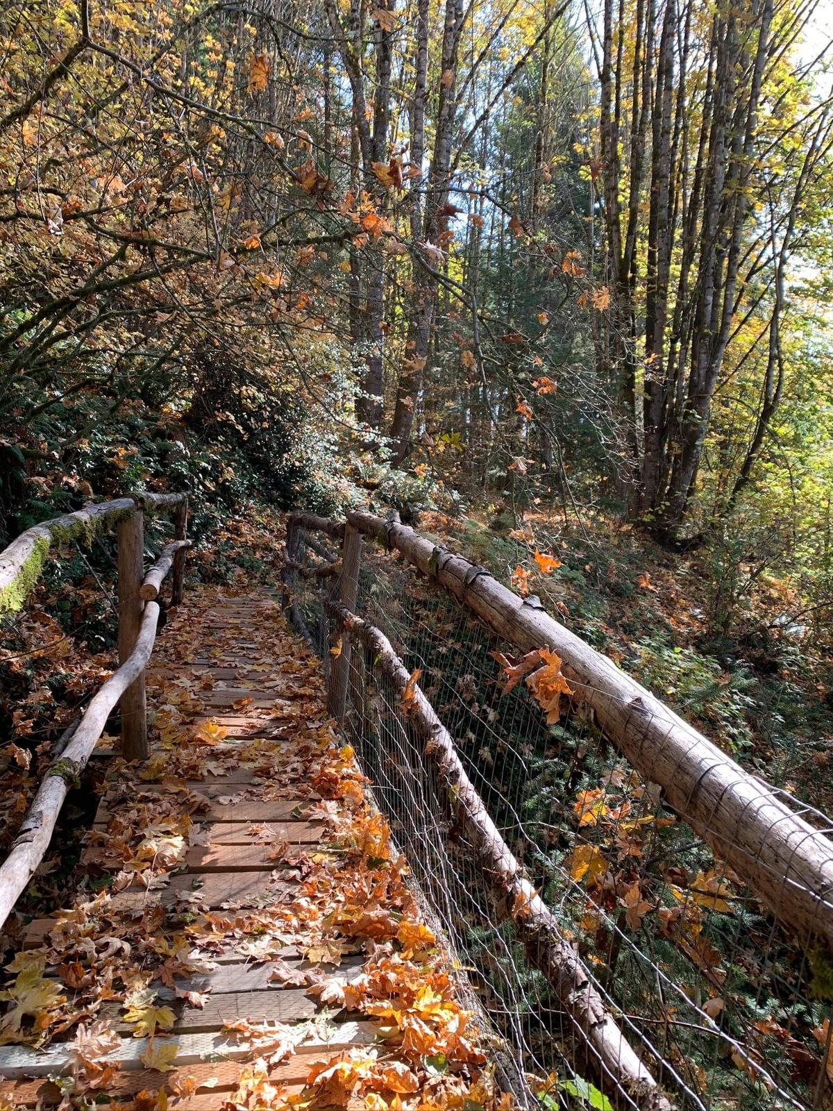 Don’t go down and around from 11 to tee 12, take the bridge up top