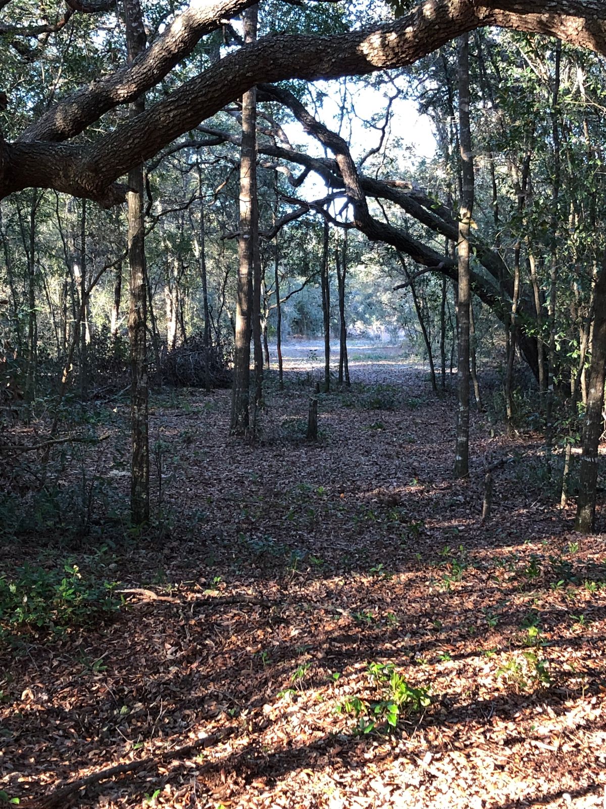 Hole #11  320’