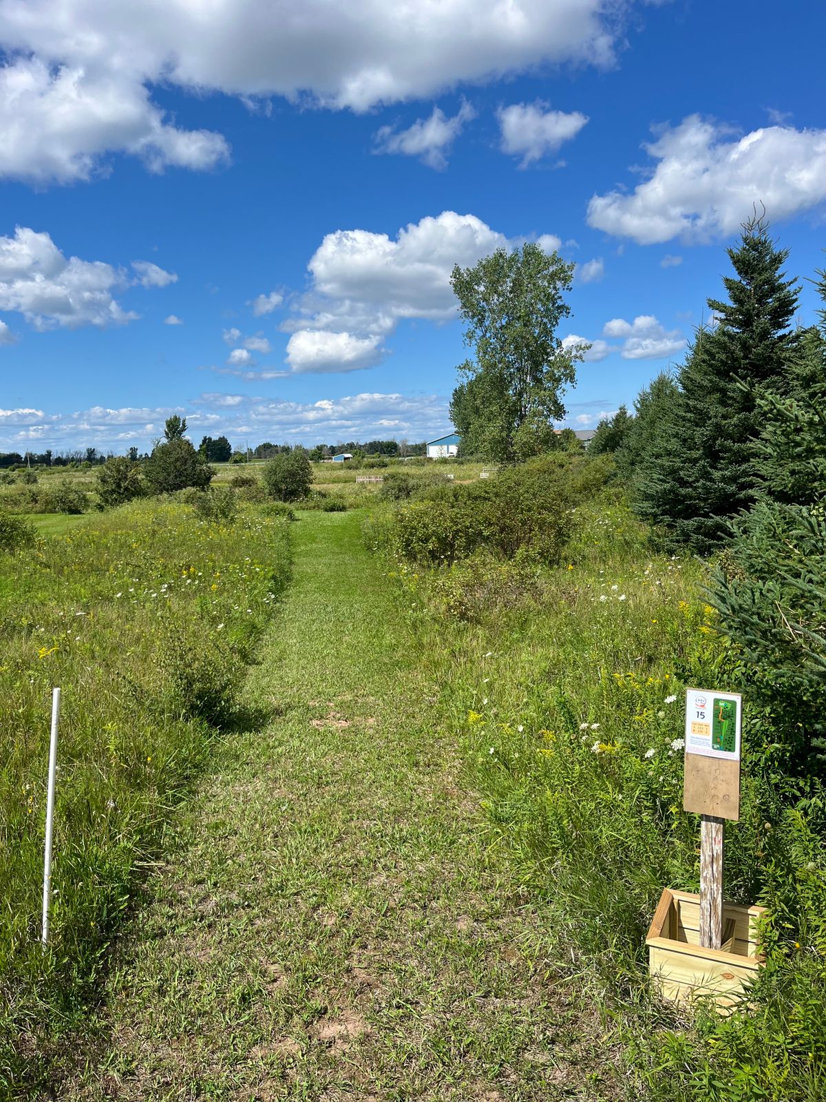 Hole 15 tee