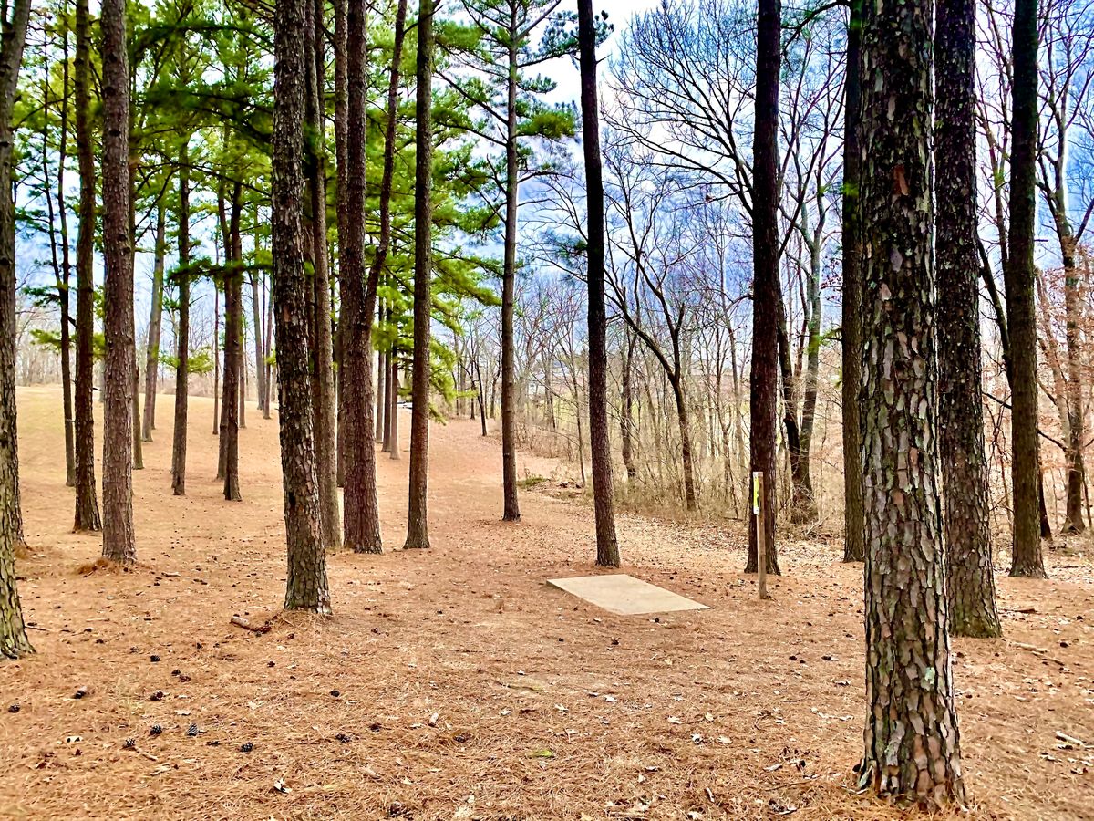 Hole 17