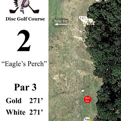 Hole 2 is a short, right turning par three that is about 15' uphill.