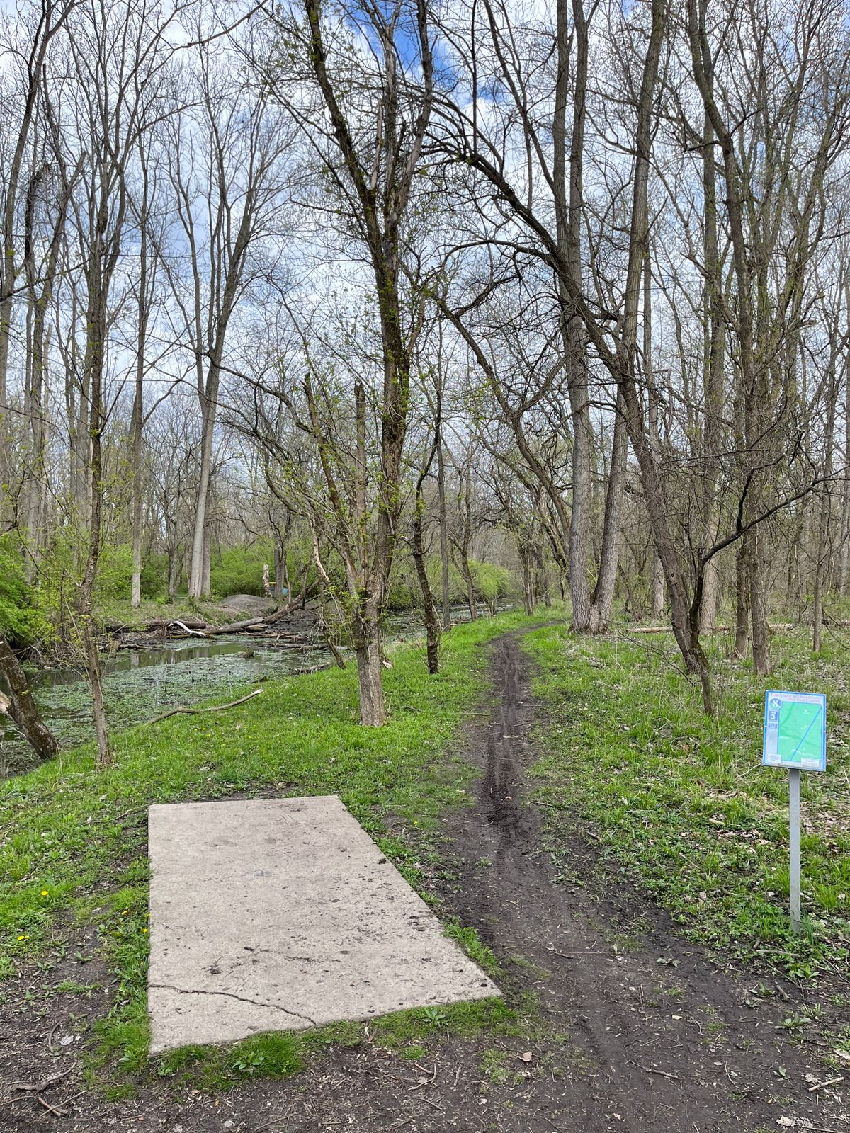 Hole #8 Blue Tee