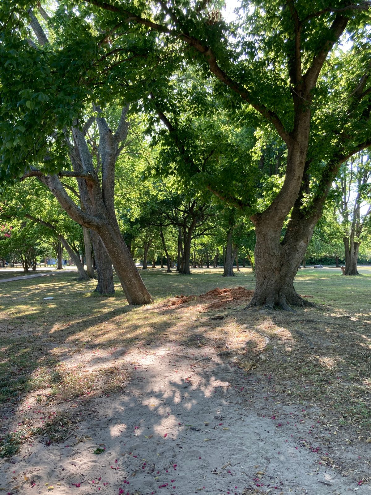 Hole 6