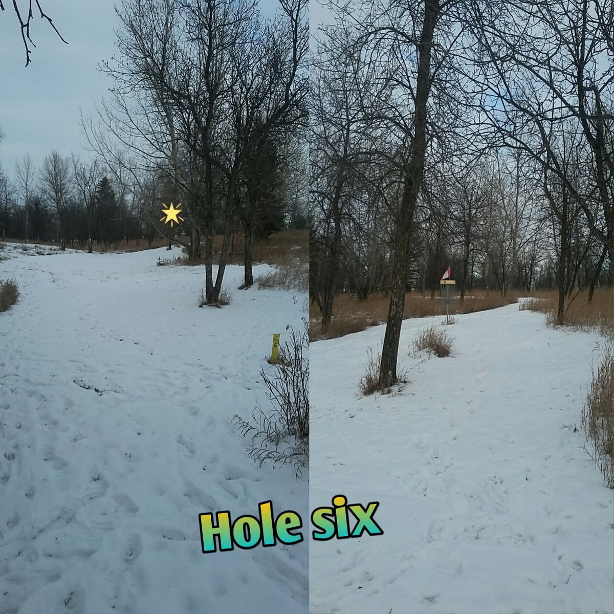 Hole 6. Suggest throwing sidearm shot something what will curve to the right hand side.
