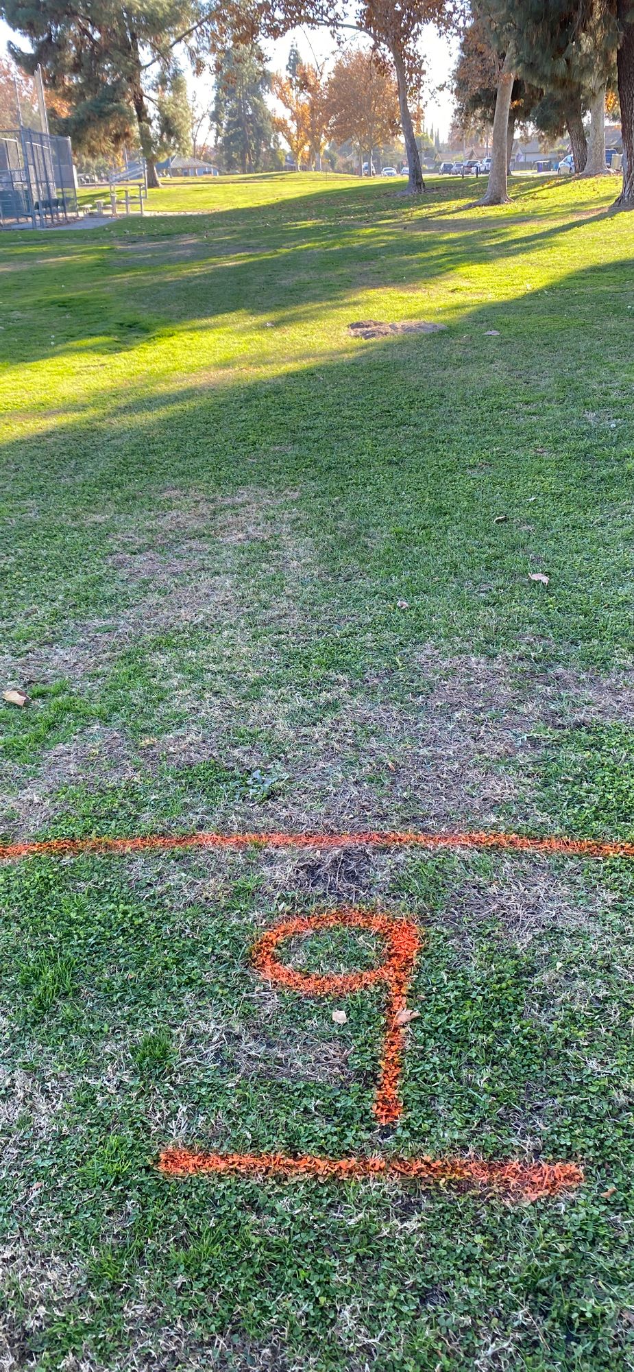 1-3 /5-7 &9 have paint marks on grass , tee 4 mark is on a tree, 8 marker is over hill on rock