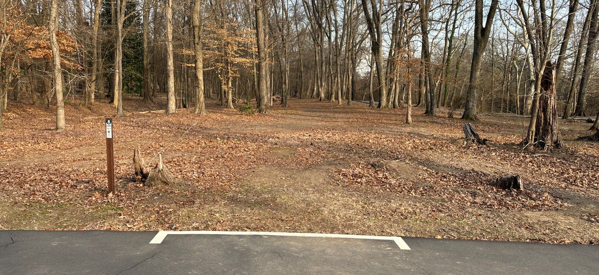 Hole 8