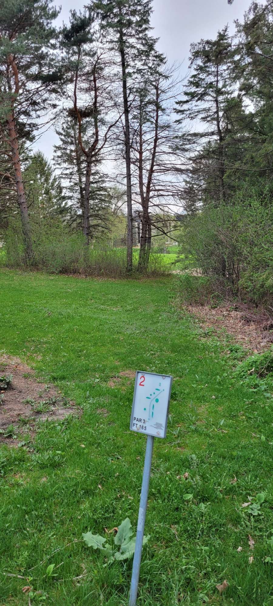 Tee 11