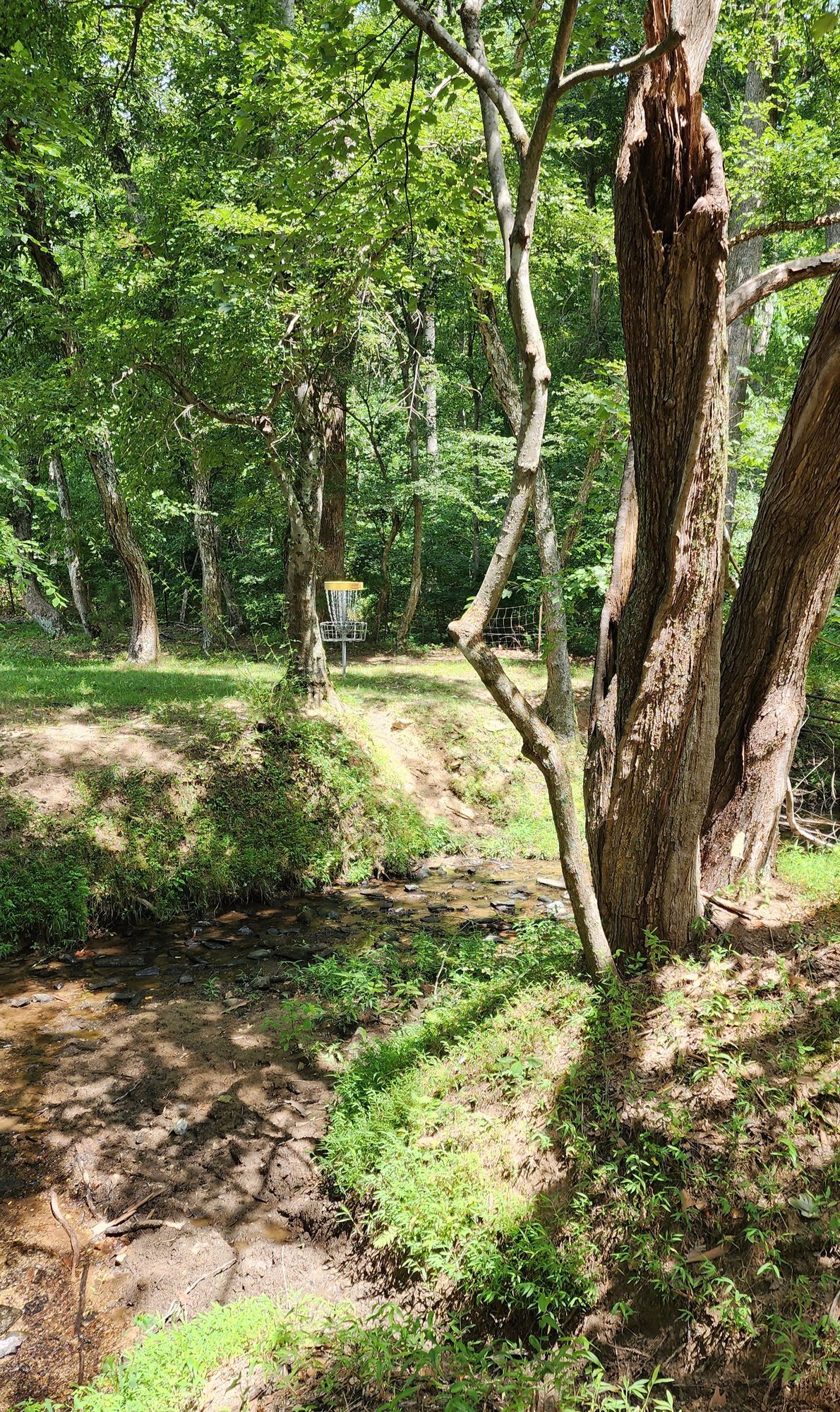 Just a pretty approach to hole 11 basket