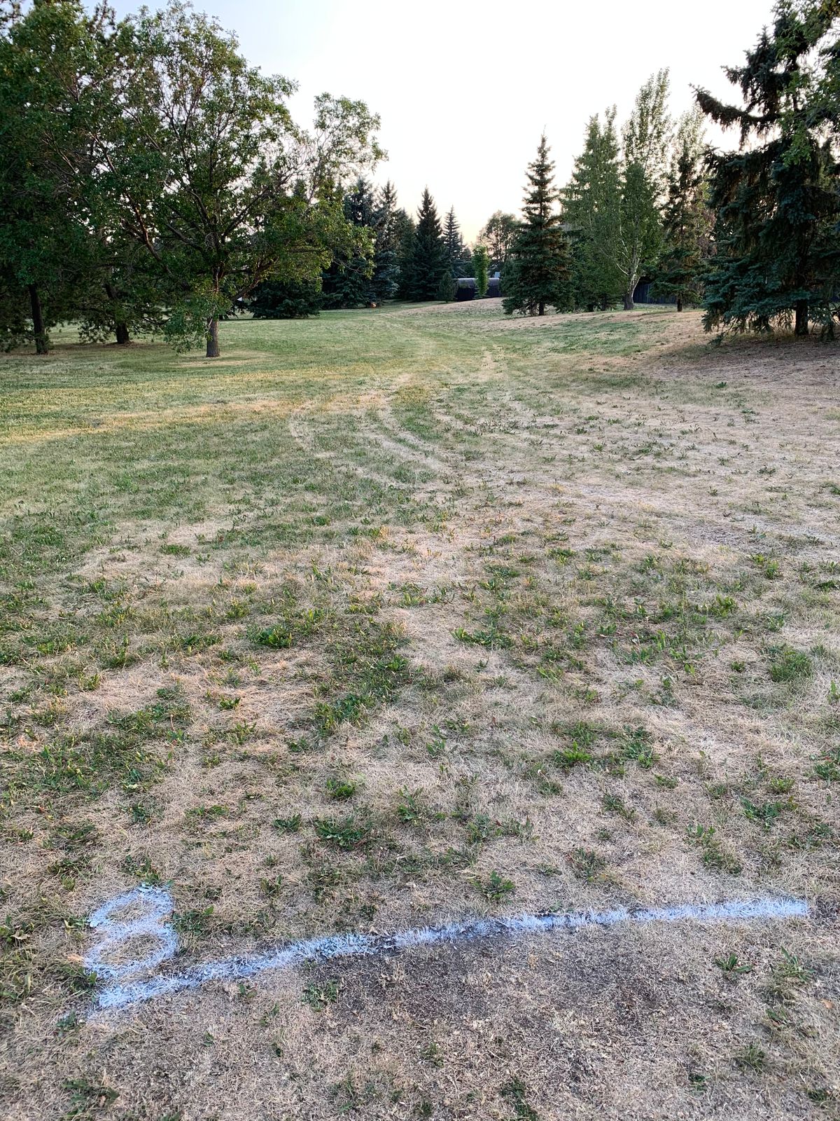 Hole 8, a RHFH hyzer or flex shot.