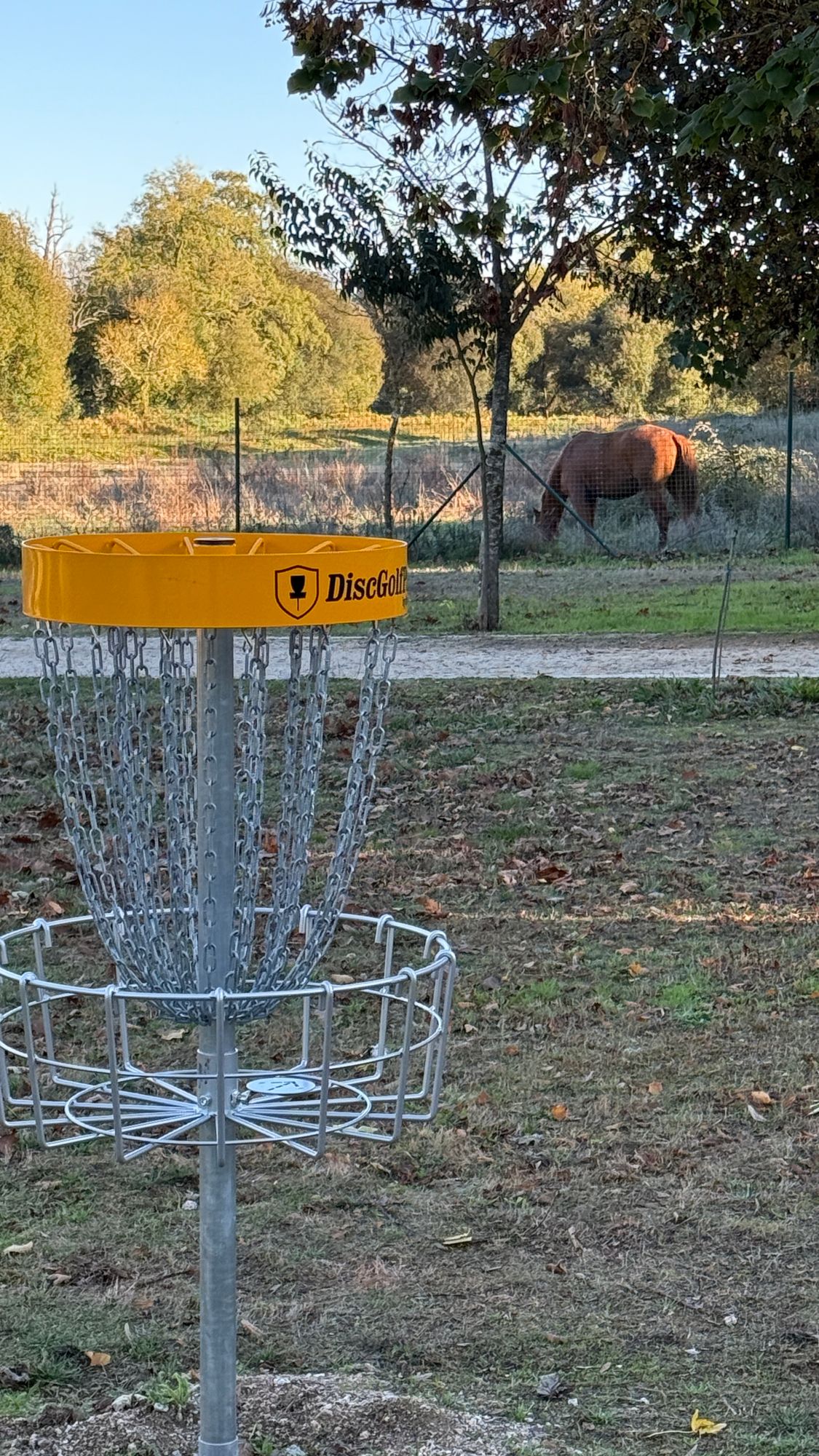Hole 7