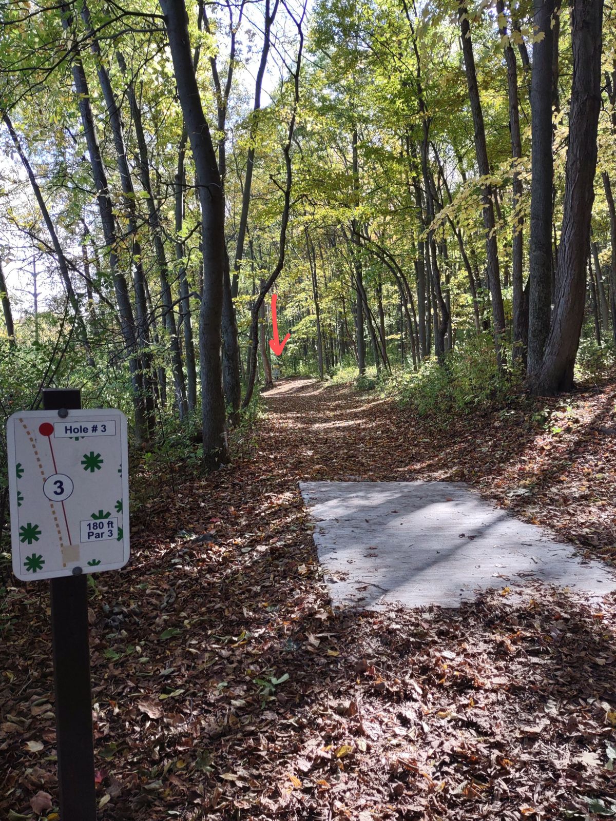 Hole #3