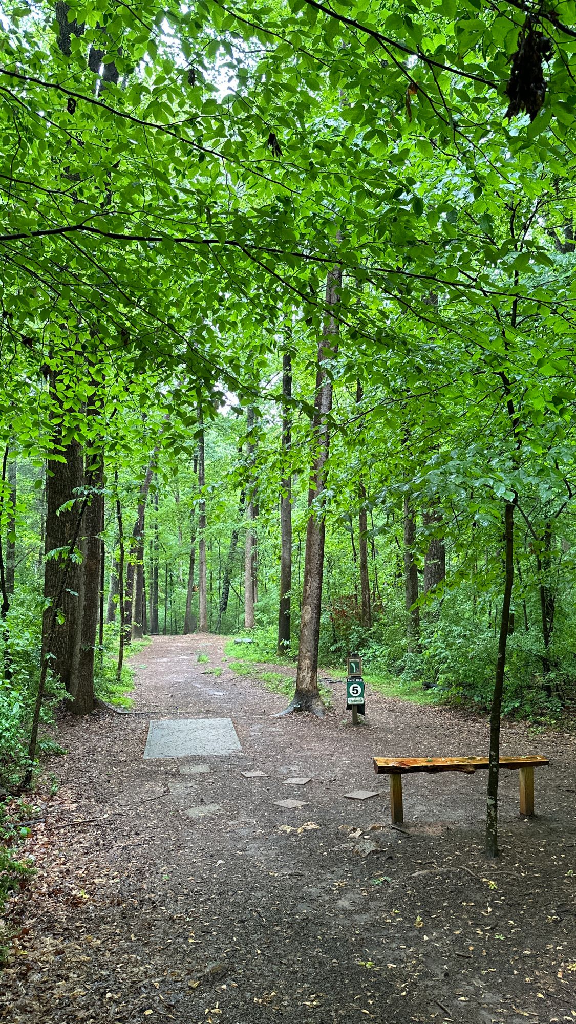 Hole 5 | May 2024