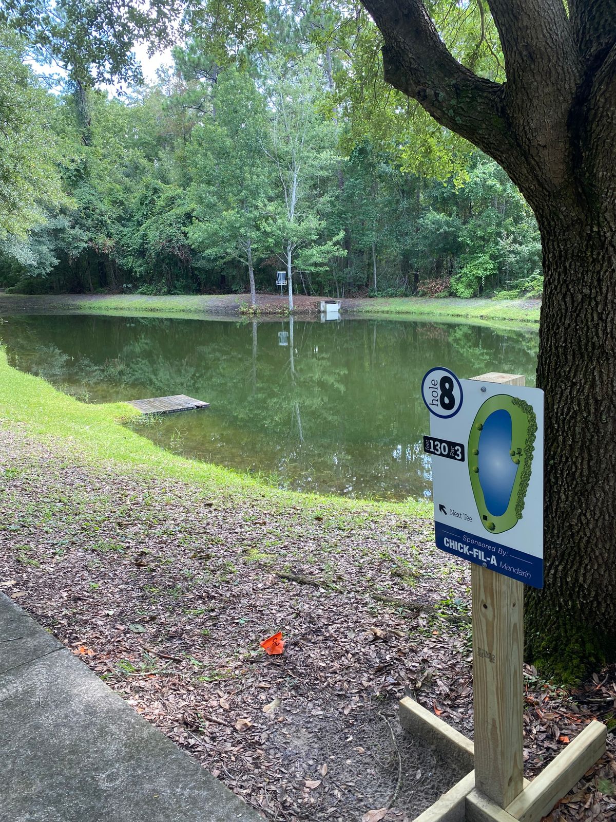 Hole 8