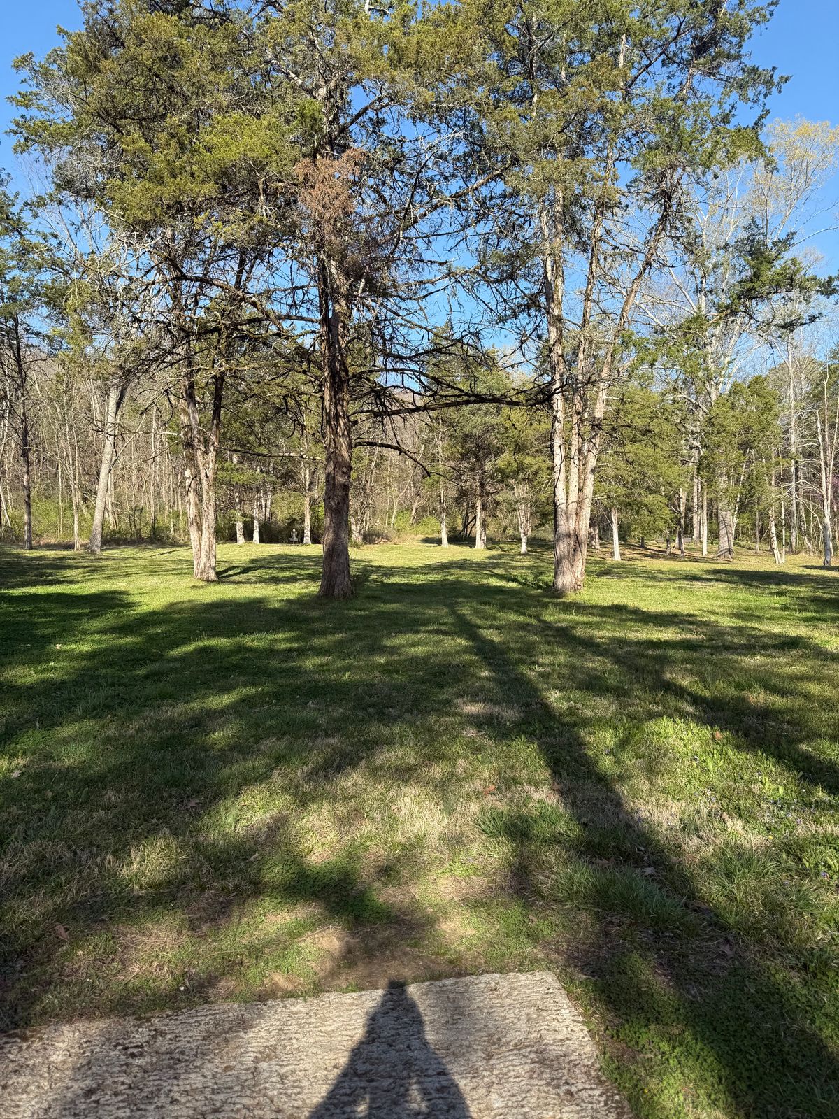 Hole 2 Tee box view