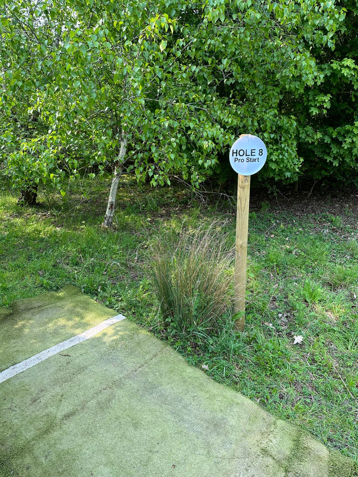 Long course hole 8 tee