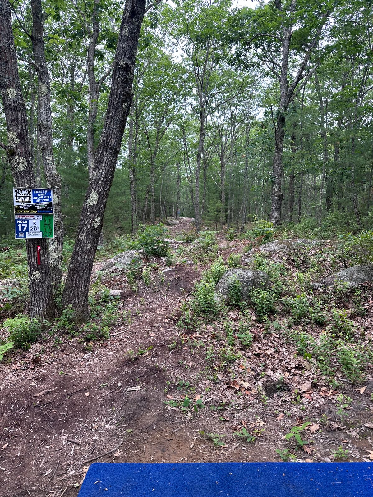 Hole #17