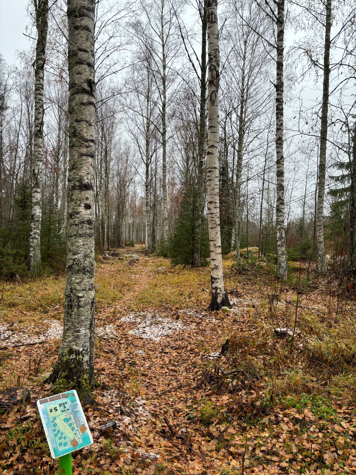 5. Väylä