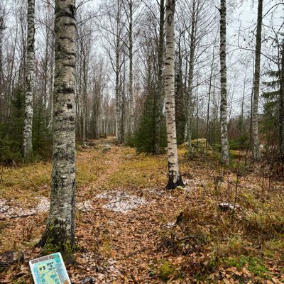 5. Väylä